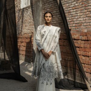 Ivy Chanderi Saree