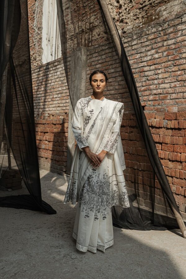 Ivy Chanderi Saree