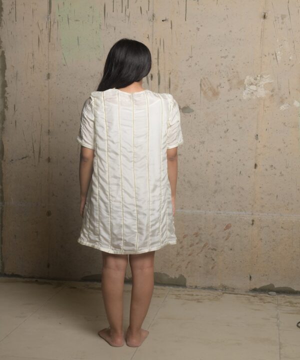 EXQUISITE ZARI PANEL DRESS - Image 2