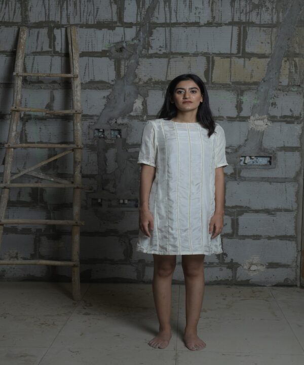 EXQUISITE ZARI PANEL DRESS